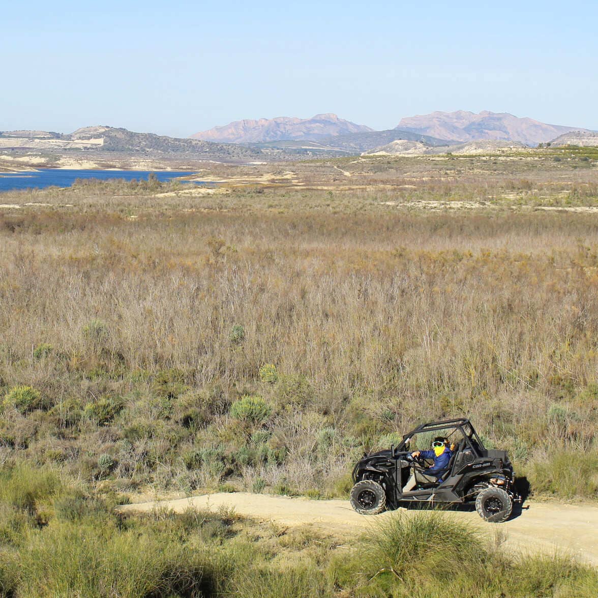 Buggy 1 plaza 5 copia